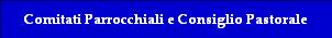 Comitati Parrocchiali e Consiglio Pastorale
